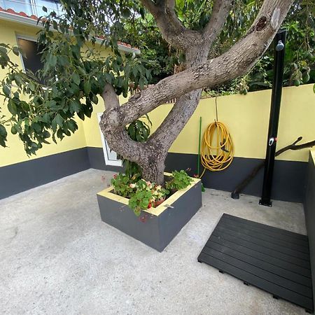 Quintinha Dos Reis Villa Funchal  Exterior photo